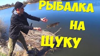 Рыбалка на щуку Делаю ХотДоги [upl. by Vershen]