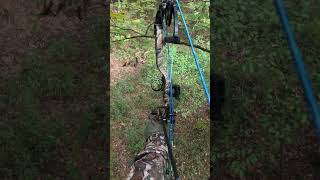 Early Season Bowhunt bowhuntingwhitetails deer hunting [upl. by Aeikan]