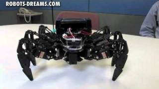 Hexapod Robot Ready To Conquer Extreme Obstacles [upl. by Atnahs]