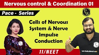 Nervous Control amp Coordination 01  Cells of Nervous System amp NerveI Impulse Conduction  11  NEET [upl. by Darbee]