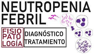 Neutropenia febril  Fisiopatología evaluación y tratamiento [upl. by Ike]