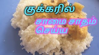 சாமை சாதம் குக்கரில் செய்வது எப்படிhow to cook Samai millets in cooker [upl. by Ralip]