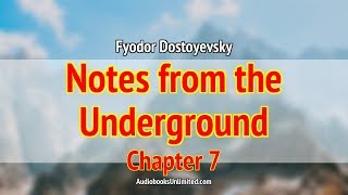 Notes from the Underground Audiobook Chapter 7 [upl. by Sairacaz317]