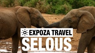 Selous Game Reserve Vacation Travel Video Guide [upl. by Eiramalegna]