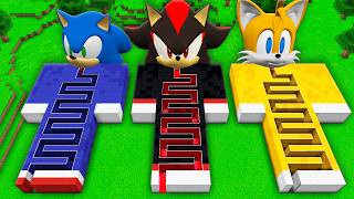 I found a SONIC TILES vs SHADOW SONIC vs SONIC TAPES in Minecraft  Whats INSIDE the SONIC MILES [upl. by Ariaic]