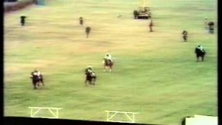 1977 Mecca Bookmakers Handicap Chase [upl. by Federico454]