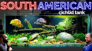 The South American Cichlid Aquarium EPIC 4ft Planted Tank Aquascape Tutorial [upl. by Eeuqram]