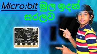 What is micro bit in Sinhala  Introduction for micro bit  VS RoboTronic [upl. by Fruin]