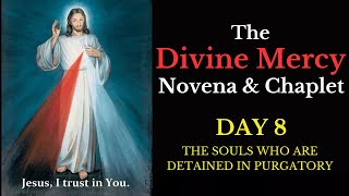 Divine Mercy Novena amp Chaplet  Day 8 [upl. by Gregoor]