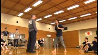 Brendon Zettler Systema Japan March 2012 Tokyo Seminar [upl. by Eelsnia577]