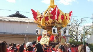 20241012土 兵庫県加古川市 上之庄神社 秋季例大祭 宵宮 見土呂屋台 練り厄神町 [upl. by Billen]