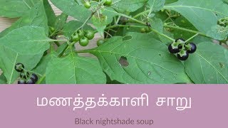 Manathakkali keerai recipe in tamil  மணத்தக்காளி கீரை  Manathakkali keerai soup in tamil [upl. by Leeland542]