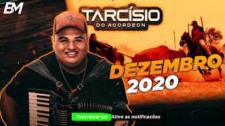 TARCISIO DO ACORDEON  NADA É IMPOSSIVEL TUDO É INVISIVEL  2021 [upl. by Leler]