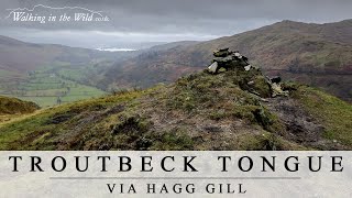 Lake District Walks Troutbeck Tongue via Hagg Gill [upl. by Merta]