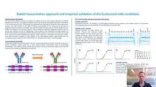 Successful rabbit mAb CDRgrafting The first step towards clinically suitable monoclonal antibodies [upl. by Werd]