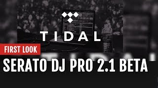 First Look Serato DJ Pro 21 Beta With TIDAL Integration  Tips and Tricks [upl. by Niwled]