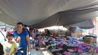 A stroll through a traditional Mexican market mexico mexicolife lapenita tianguis [upl. by Leinad77]