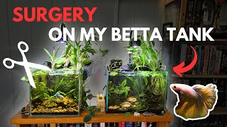 Betta Fish Tank MAKEOVER [upl. by Intihw]