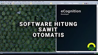 Tutorial Cara Hitung Sawit  Palm Counting  Tree Counting  dari hasil foto udara [upl. by Notak]