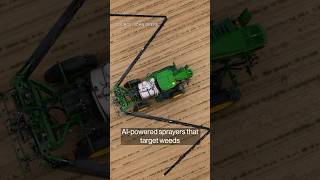 AI could help farmers use less herbicide to kill weeds tech [upl. by Jedthus]