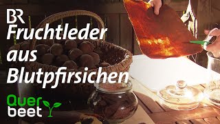 Fruchtleder aus Blutpfirsichen [upl. by Nevets804]