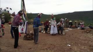 matachines de potam sonora octubre 16 2012 [upl. by Anitnahs588]