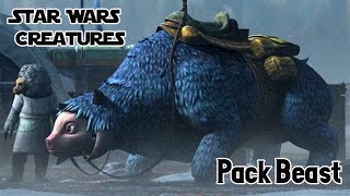 Pack Beast  Star Wars Creatures [upl. by Churchill142]