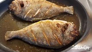 Dorade fish fry।How to make 10min Dorade fish fry Recipe [upl. by Broek811]