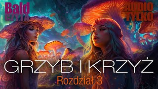 ŚWIĘTY GRZYB I KRZYŻ ROZ3  Imiona Bogów Streszczenie z komentarzem [upl. by Noivart]