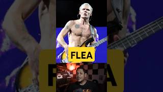 flea funk redhotchilipeppers rock musik music [upl. by Osmo]