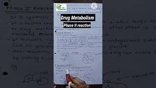 Drug metabolism phase 2 reaction medicinal chemistry 1 sem 4 b pharm drugmetabolism aapalpharmacy [upl. by Nitsreik]