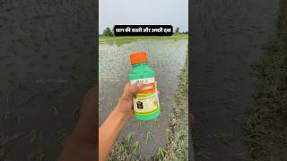 खरपतवार उगने से पहले ख़त्म🌾 JU Pretilachlor 50 EC  AGRIL CAREER agrilcareer farming [upl. by Nowell831]