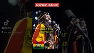 Burny wailer  Boderation reggaemusic reggae thewailers reggaevibes [upl. by Nnylharas772]