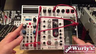 Intellijel Plonk【Wurlysモジュラーシンセ動画】 [upl. by Eniamrahc]