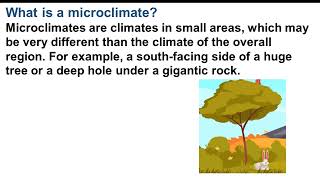 What is a microclimate [upl. by Anirrok]