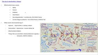 The role of mitochondria in disease [upl. by Cindee]