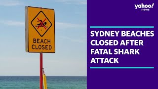 Sydney beaches closed after fatal shark attack  Yahoo Australia [upl. by Laira]