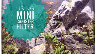 Using Mini Canister Filter [upl. by Nelav]