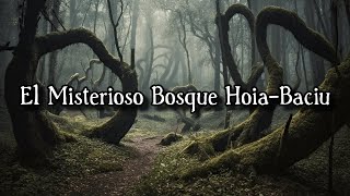 Los Misterios del Bosque HoiaBaciu [upl. by Kayley]