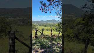 Hinterlands are Magical✨eumundi sunshinecoast sunnycoast hinterland sunshinecoasthinterland [upl. by Chaim]