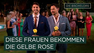 Zwei gelbe Rosen 😳🌹 Was hat das wohl zu bedeuten 😳 I Die Bachelors [upl. by Kolk]