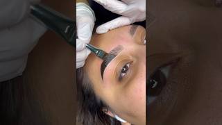 Brow Tinting Tutorial 💓 browtint browsefeatures [upl. by Adnawad]