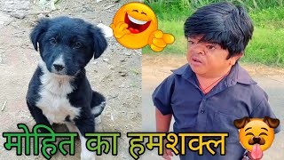 😂 मोहित का हमशक्ल 😂  Mohit ki Video  NGL Vines  Mohit Chhotu New Video [upl. by Pena]