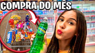 COMPRAS DO MÊS MORANDO SOZINHA🏠🛒🥕 [upl. by Feldstein678]