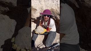 15 pound geode reveal from Dugway Geo beds Geology ￼ crystals rockhound ￼ [upl. by Eyllek]