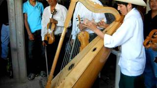 LOS MARINEROS DE TEPALCATEC EN COALCOMAN MICHOACAN [upl. by Eintirb]