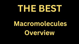 THE BEST Macromolecules Overview macromolecules mbbs medicine mbbsstudents medicine [upl. by Eniarral]