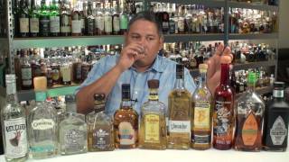 LiquorHounds Top Tequilas Under 30 [upl. by Nyledam]