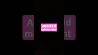 Amoeboid movement [upl. by Acisse]