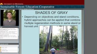 Silviculture 101 Systems and Terminology [upl. by Ativ377]